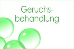 Teppiche GERUCHSBEHANDLUNG