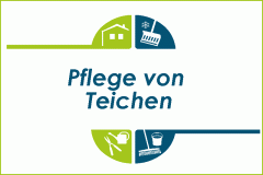 Pflege von Teichen und Wasseranlagen