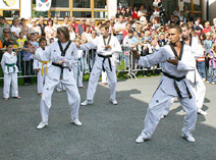 TAE KWON DO 