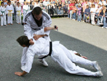 TAE KWON DO 3