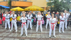 TAE KWON DO 4