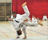 TAE KWON DO 9