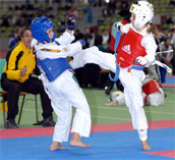 TAE KWON DO 14